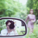 Romance Season - Wine Loop