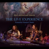 The Live Experience: Kundalini Yoga Chants and Devotional Songs (with Ankush Vimawala, Will Marsh & Richard Cole) artwork