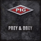 Prey & Obey (Leaether Strip Remix) artwork