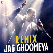 Jag Ghoomeya (Remix) artwork
