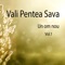 Osana - Vali Pentea Sava lyrics