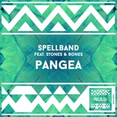 Pangea (Instrumental Mix) [feat. Stones & Bones] artwork