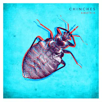 Chinches - Single - Amatria