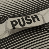 Push (Straybird Remix) artwork