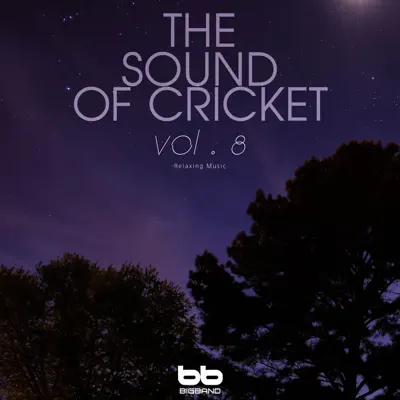 The Sound of Cricket, Vol. 8 - EP - Big Band