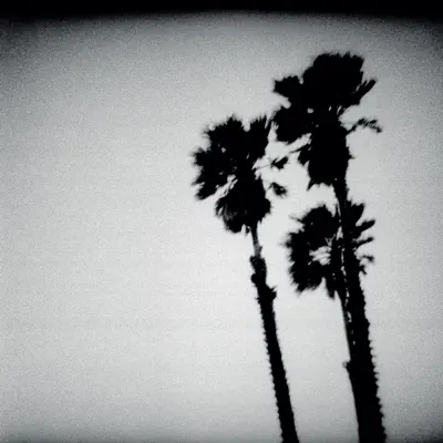 Blackberry Belle - The Twilight Singers Blackberry Belle - The Twilight Singers