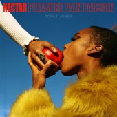 Topaz Jones - Pleasure Pain Passion (feat. KAMAU)