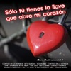 Solo Tú Tienes la Llave Que Abre Mi Corazón: Love Instrumental, Vol. 6