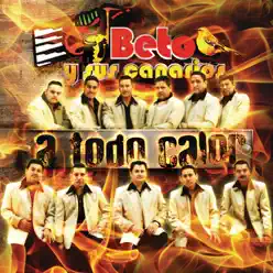 A Todo Calor (En Vivo en Altamirano, México 2006) - Beto y Sus Canarios