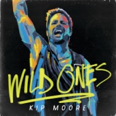 Wild Ones artwork