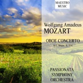 Oboe Concerto in C Major, K. 314: I. Allegro aperto artwork