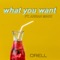 What You Want (feat. Arran Macc) - Drell lyrics