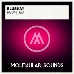 Reunited - Single by Bluskay album reviews, ratings, credits
