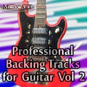 Professional Guitar Backing Tracks vol 2 artwork