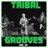 Tribal Grooves, Vol. 14 artwork