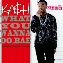 What You Wanna Do, Bae - Single by Ka$h album reviews, ratings, credits
