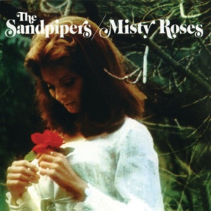 Misty Roses