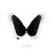 Alright - ARKO lyrics