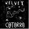 Bipolaroid - Velvet Cotorro lyrics