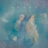 Aguas artwork