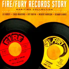 The Fire/Fury Records Story - Rarities Collection by Various Artists album reviews, ratings, credits
