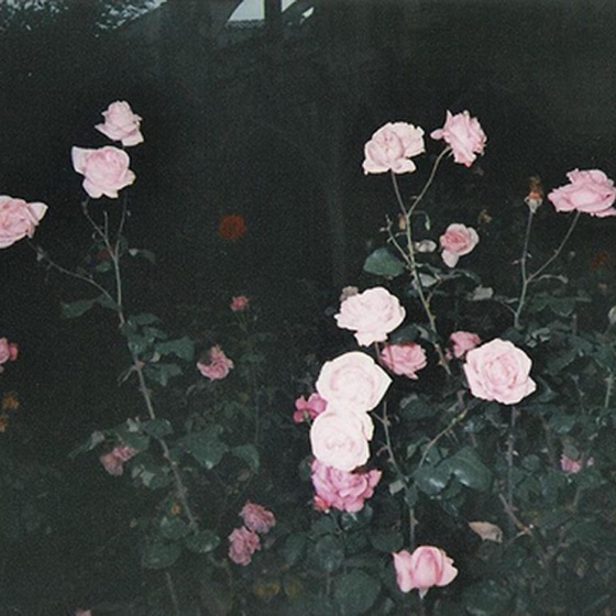 Cover artwork for I Love You
