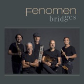 Bridges (feat. Ismail Soyberk, Barış Bölükbaşı, Nevzat Yılmaz, Cagdas Oruc & Bülent Ay) artwork