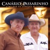 Canário e Passarinho