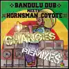 Changes Remixes (feat. Hornsman Coyote) album lyrics, reviews, download