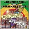 Changes Remixes (feat. Hornsman Coyote), 2011