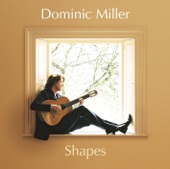 Dominic Miller: Shapes, 2004