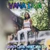 I Don't Care What You Do - Single