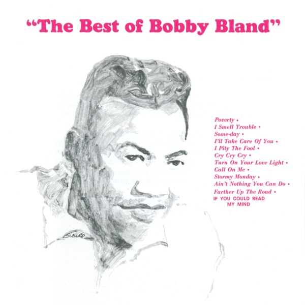 Bobby Bland - Turn On Your Love Light