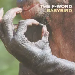 The F-Word - Single - Babybird