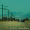 Why Do You Have to Leave Me - Single