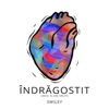 Îndrăgostit (Desi N-Am Vrut) - Single