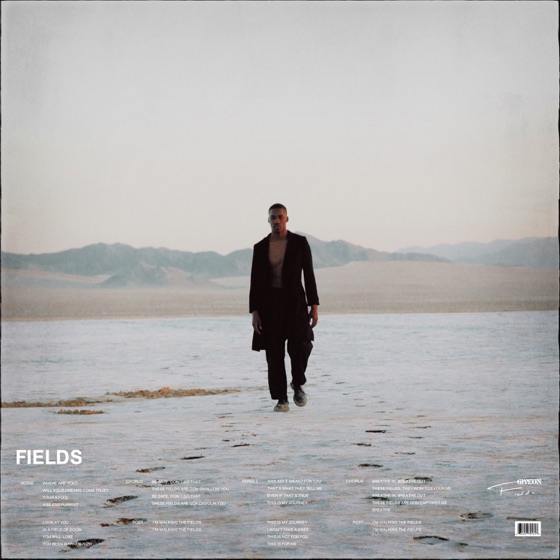 Cover artwork for Fields
