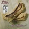Wild Horses cover