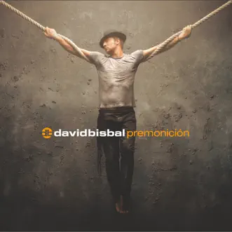 Amar Es Lo Que Quiero by David Bisbal song reviws