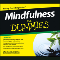 Shamash Alidina - Mindfulness for Dummies artwork