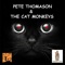 Silver Slippers in the Sand - Pete Thomason lyrics