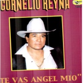 Te Vas Ángel Mio artwork