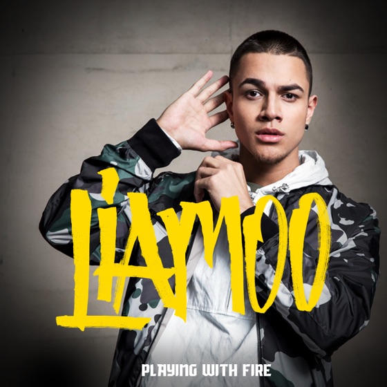 Cover artwork for Playing With Fire