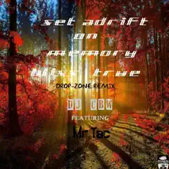 Set Adrift on Memory Bliss True (feat. Mr.Tac) [Drop-Zone Remix] - Single by DJ CBW album reviews, ratings, credits