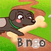 Bingo - Single