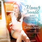 Momento immobile (Bonus Track Version) artwork