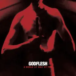 A World Lit Only by Fire - Godflesh