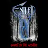 Stream & download Ghost in the Winter