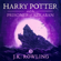 J.K. Rowling - Harry Potter and the Prisoner of Azkaban