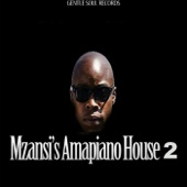 Mzansi's Amapiano House 2 artwork